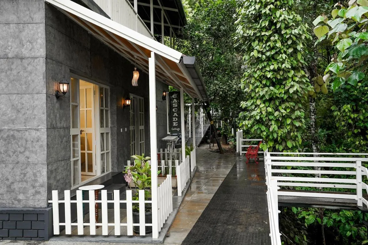 Iron Bridge Cove Villa Meppadi Lodge