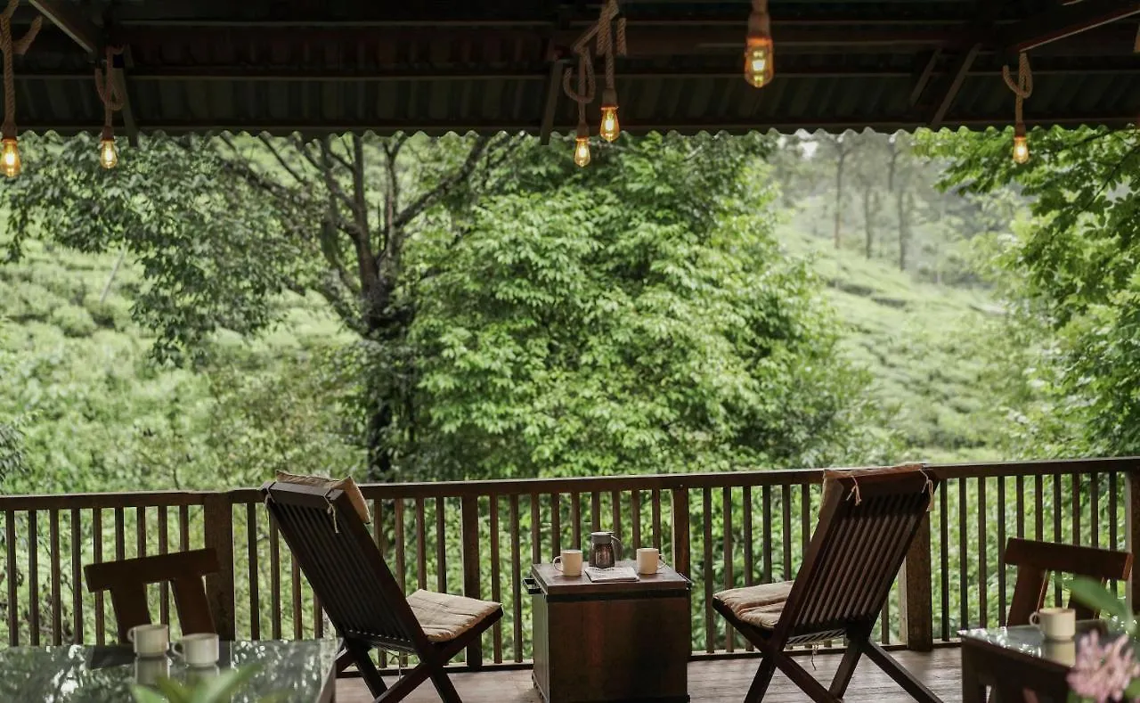 Iron Bridge Cove Villa Meppadi Lodge