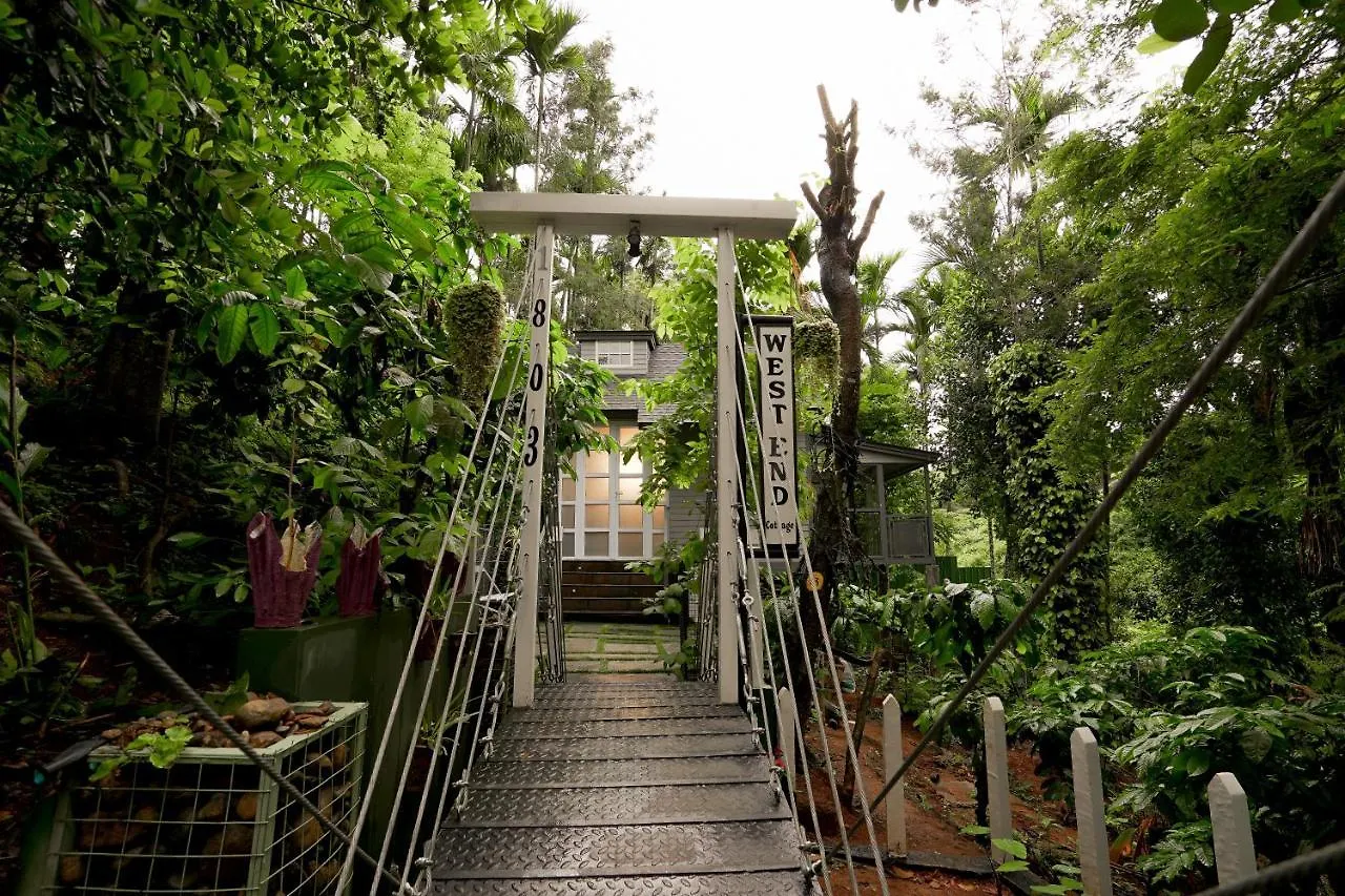 Iron Bridge Cove Villa Meppadi India